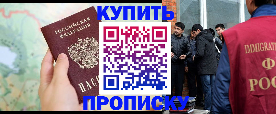 прописка законно в Купино